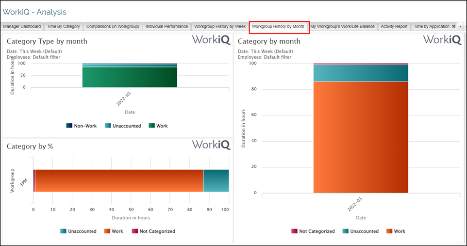 Workgroup history by month